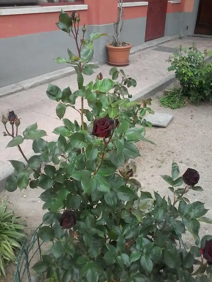 Perbacco Bed & Breakfast Sartirana Lomellina Italy